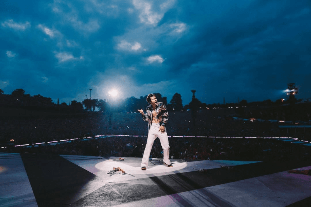 Harry Styles: Ahora su marca incluirá juguetes para adultos