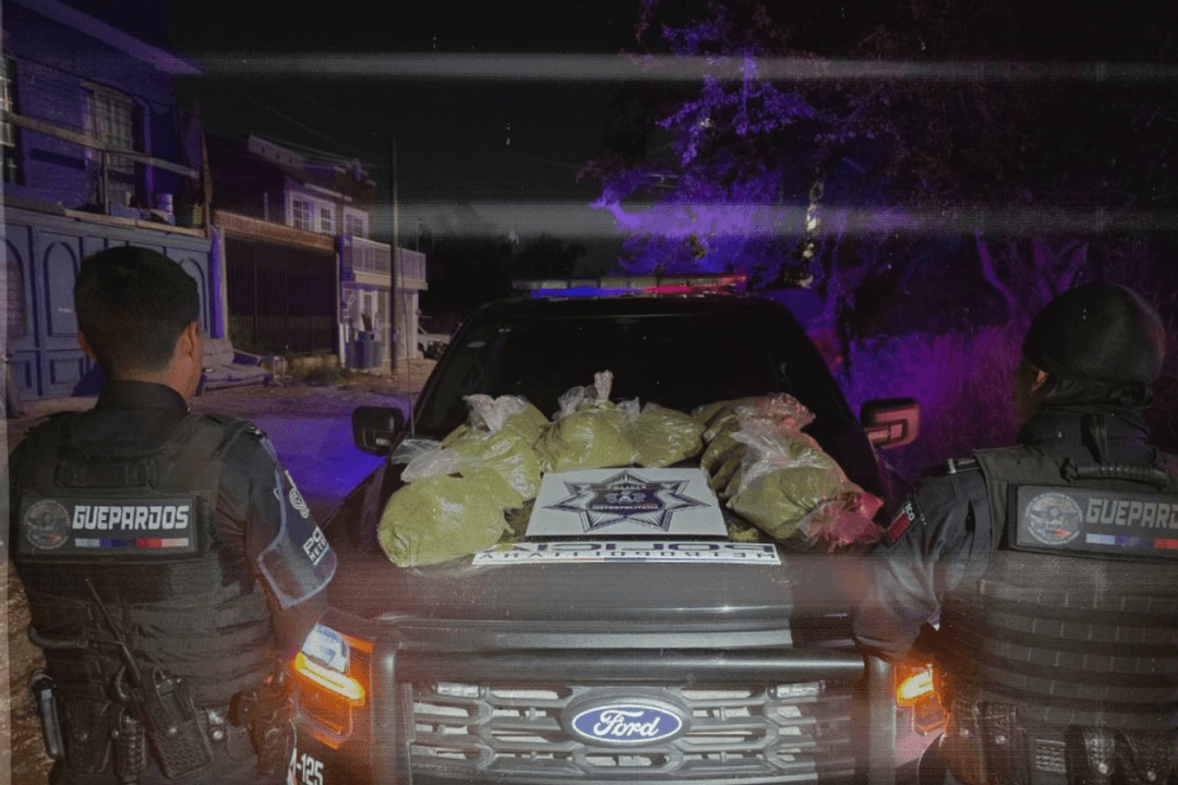 Zapopan: Aseguran cerca de 30 kilos de marihuana en terreno baldío