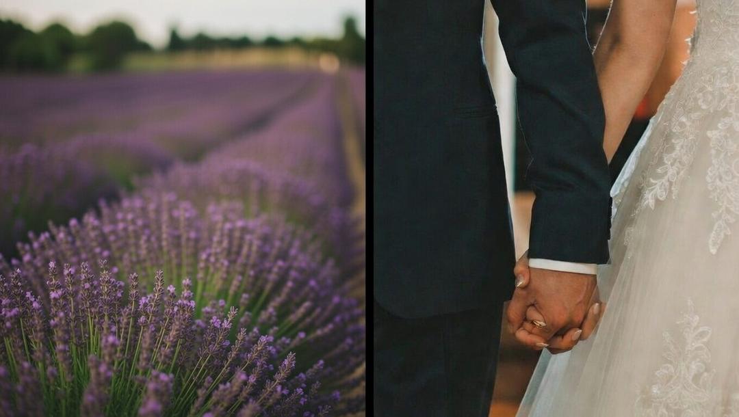 ¿Qué son los matrimonios lavanda? Conoce la tendencia del momento