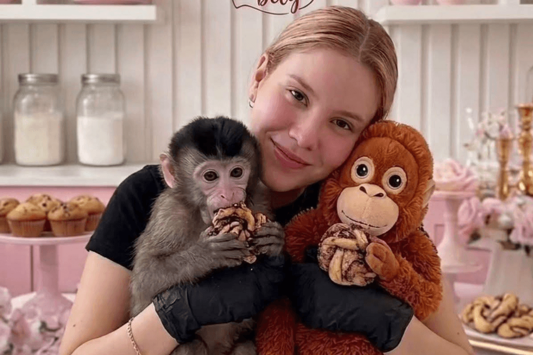 Carmiña Castro: Levantan a influencer en Culiacán; esto sabemos