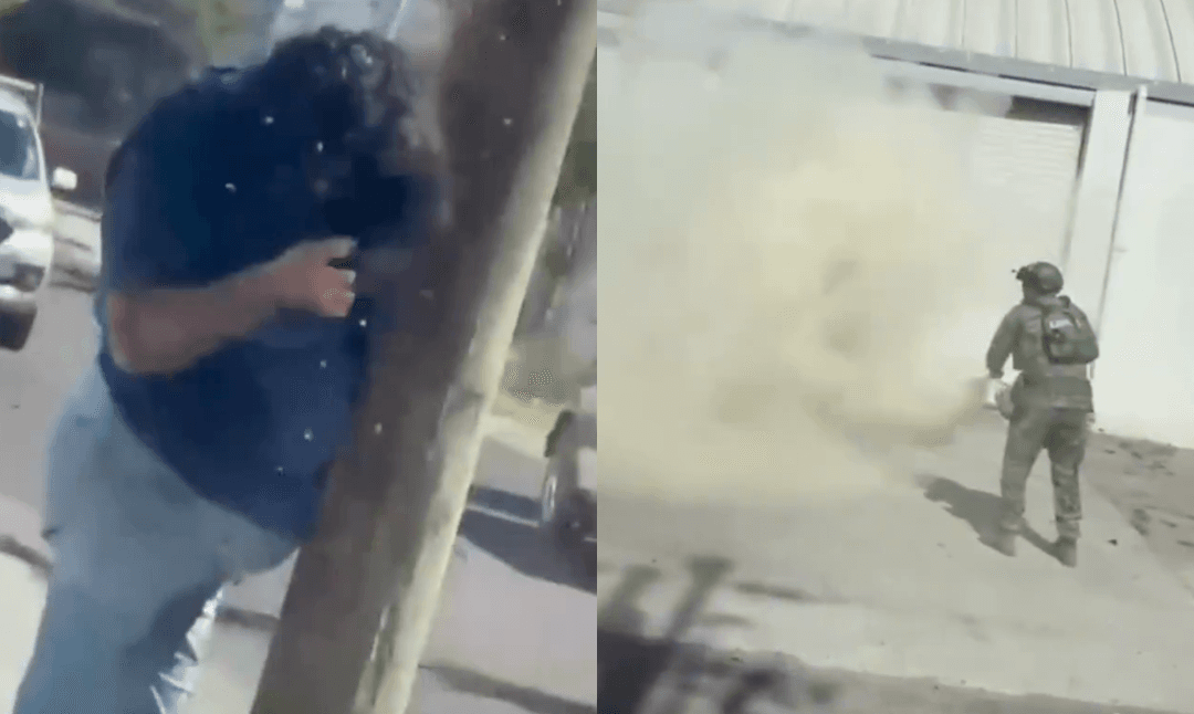 VIDEO: Mujer es atacada por abejas en Culiacán