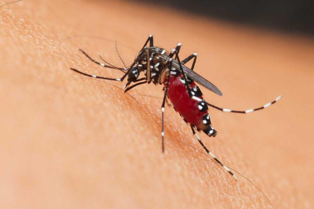 Brasil suspende una vacuna contra el dengue tras dos muertes