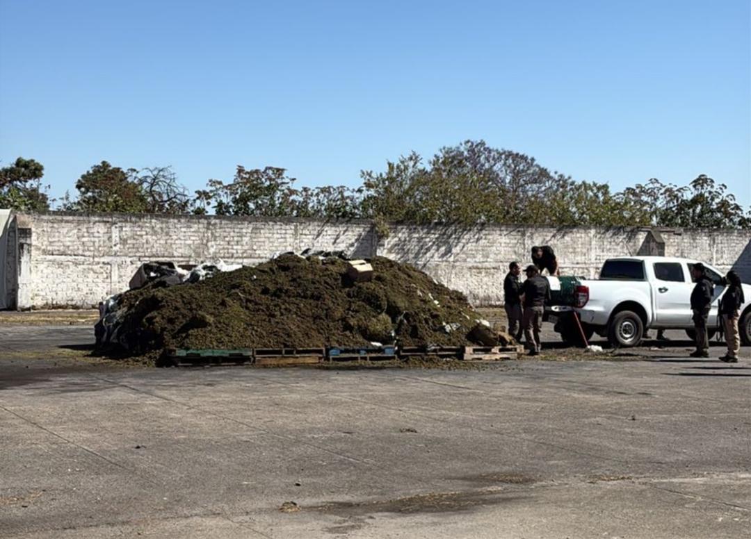Jalisco: FGR y el gobierno del Estado realizan destrucción de sustancias ilícitas