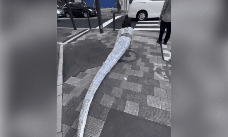 Japón: ¡No solo perros! Therian sorprende al moverse como serpiente