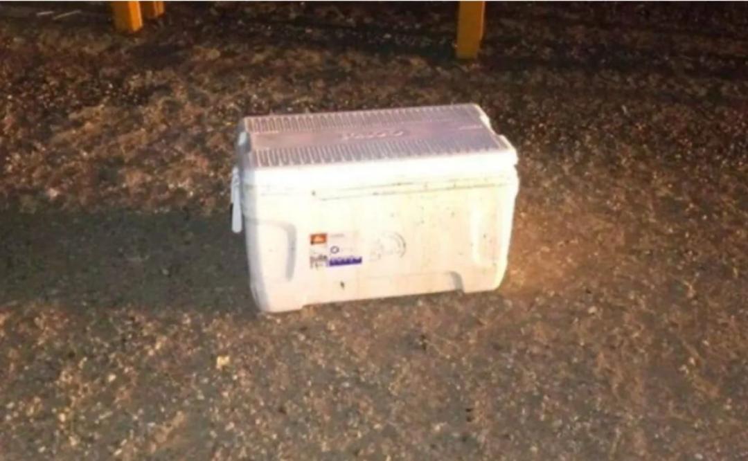 Elota: Hallan hielera con restos humanos; es la segunda en menos de una semana