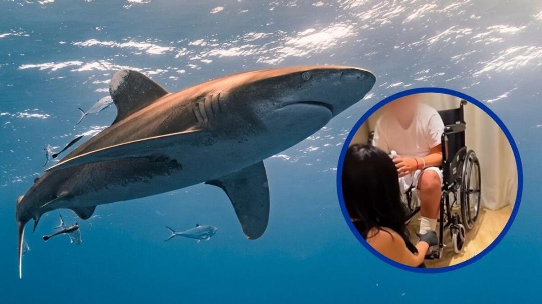 Lupita D’Alessio: Nieto es atacado por tiburón en Tulum