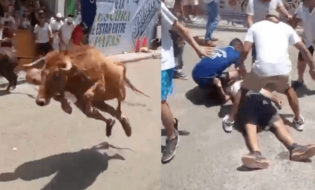 VIDEO: Un toro embiste a un hombre durante la Feria de San José