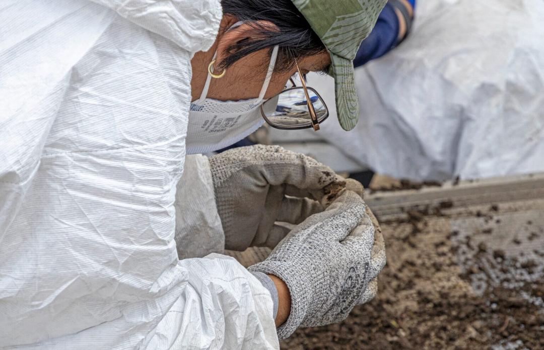 CDMX: Colectivos anuncian el hallazgo de más de mil restos óseos