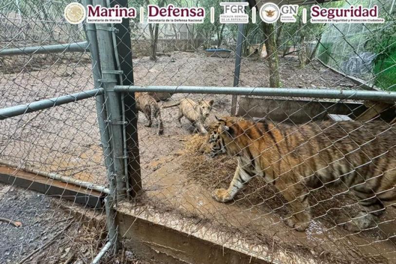 José Antonio ‘N’: Detienen en Nuevo León a presunto líder ligado al huachicol