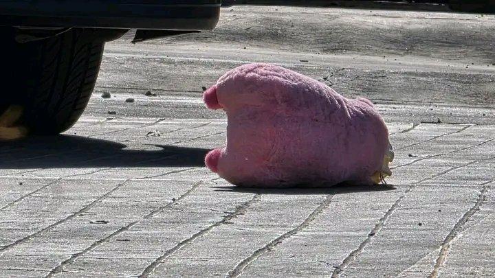 Culiacán: Misterio por la aparición de puerquitos de peluche en homicidios