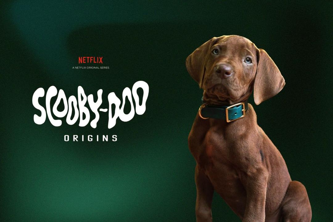 Scooby-Doo: Netflix presenta primeras imágenes de la serie live-action