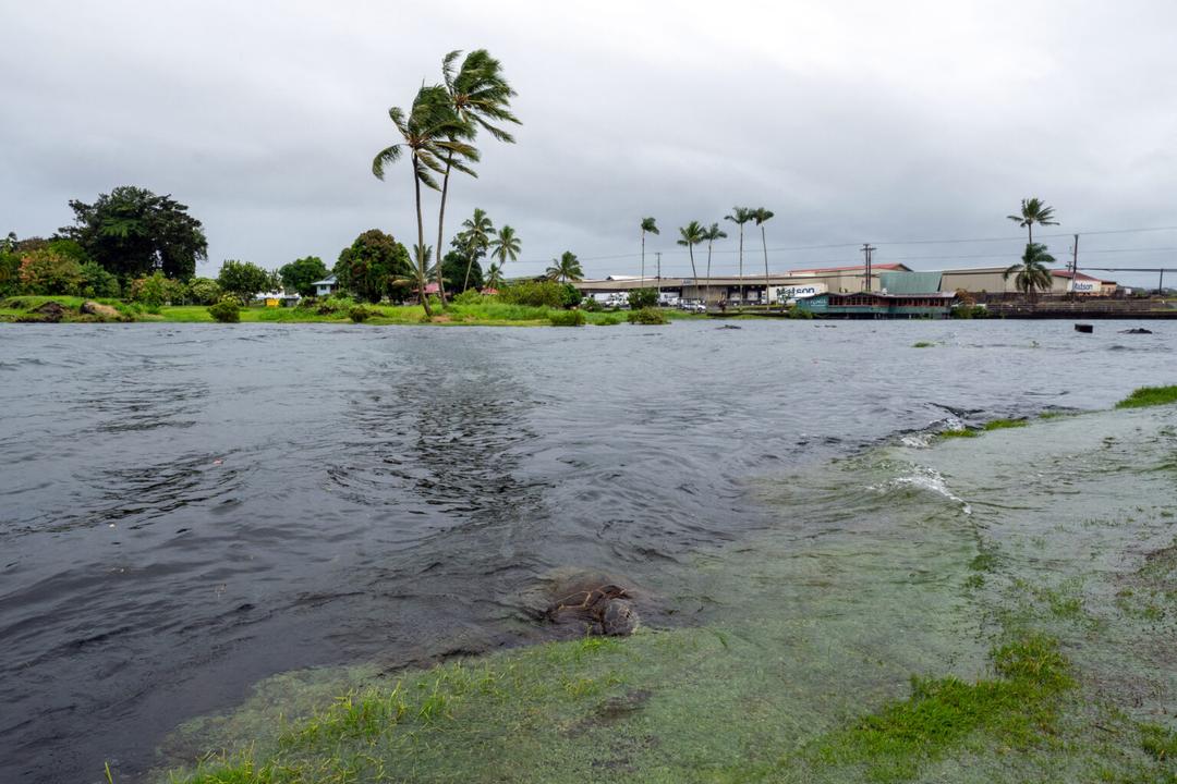 Tormenta tropical Lala azota a Hawái con lluvias torrenciales