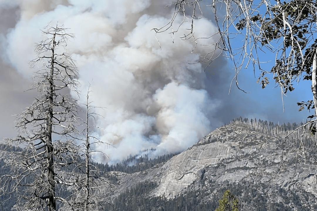 California: Mueren dos pilotos al caer helicóptero combatiendo incendio