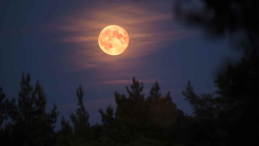 Luna del Cazador: Cuándo ver la luna llena de octubre